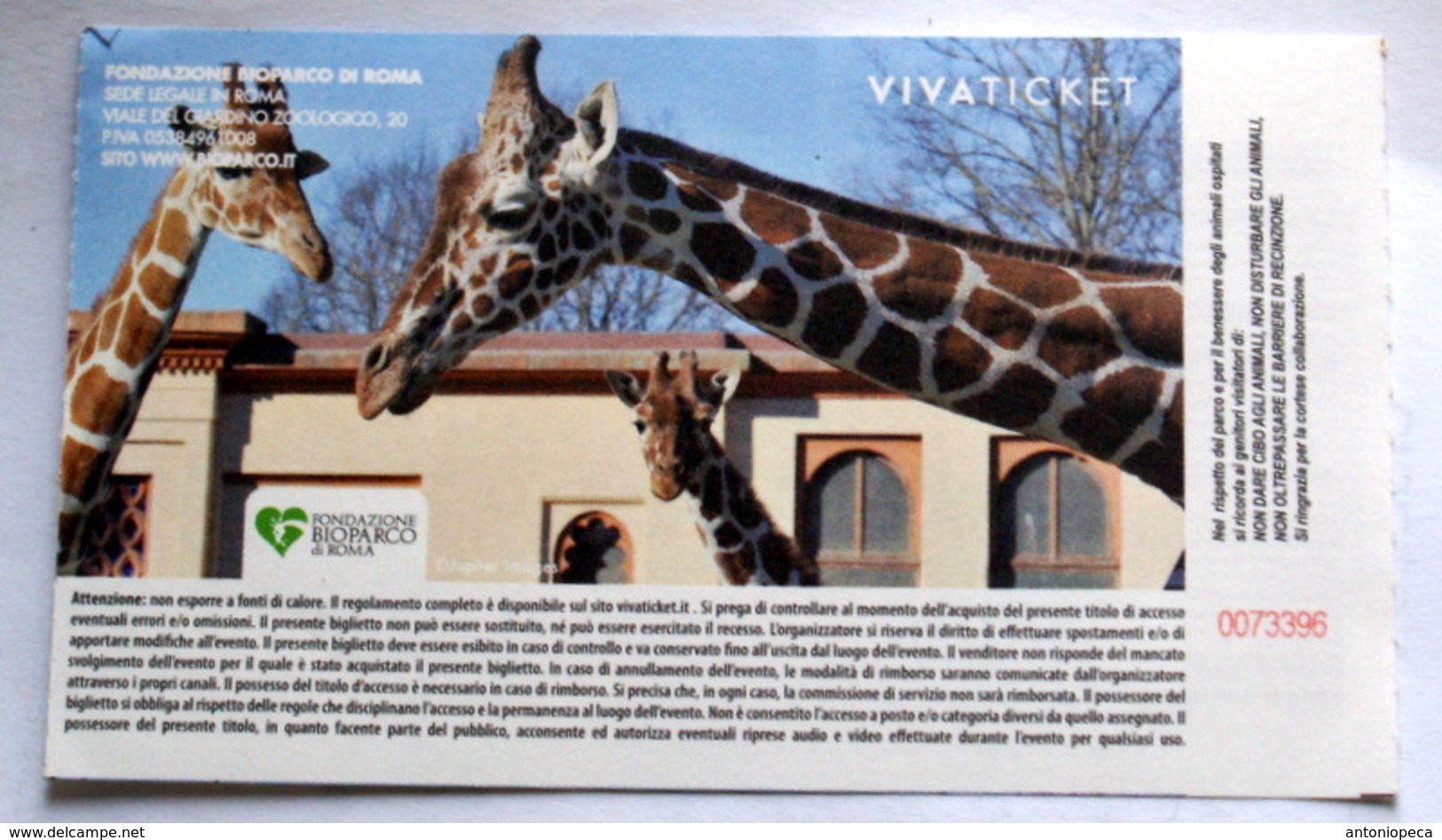 ITALY, 2019 ENTRANCE TICKET ROME ZOO - Tickets - Entradas