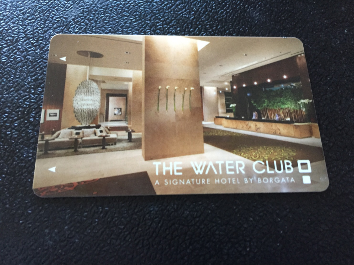 Hotelkarte Room Key Keycard Clef De Hotel Tarjeta Hotel THE WATERCLUB  By BORGOTA ATLANTIC CITY - Non Classés