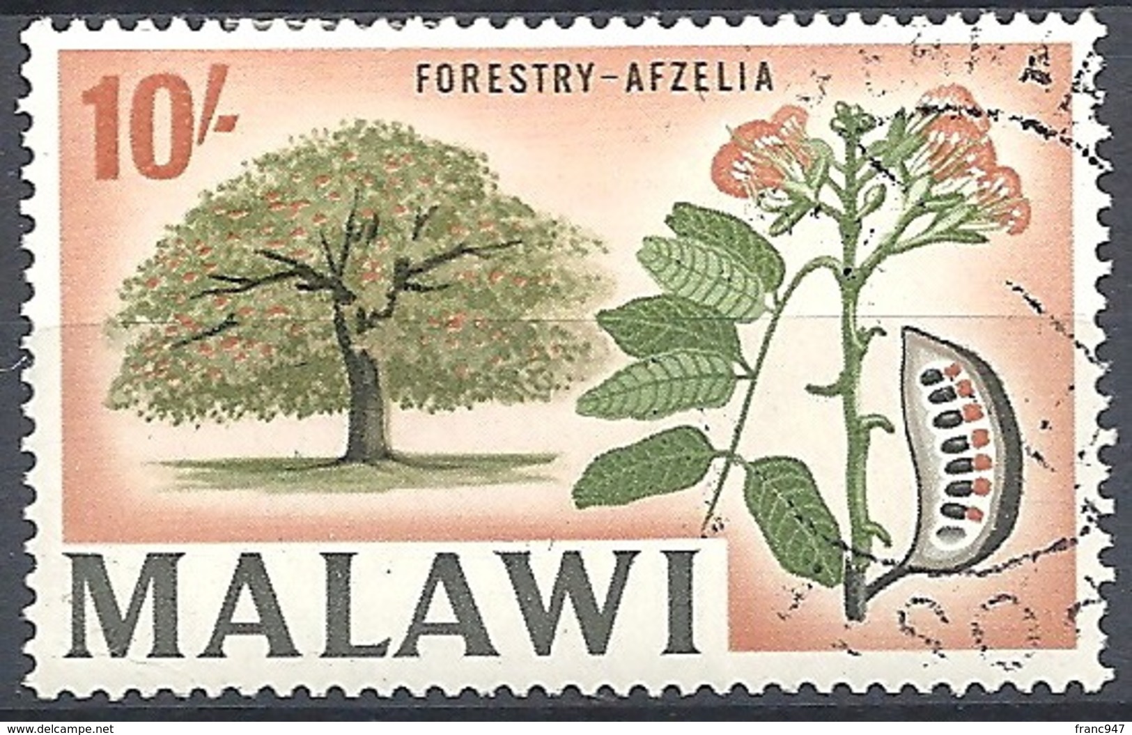 Malawi, 1964 Country Views- Forestry - Afzelia, 10sh  Multicol  # S.G. 226 - Michel 13 - Scott 16  USED - Malawi (1964-...)