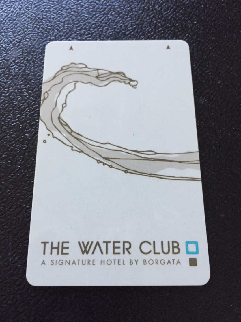 Hotelkarte Room Key Keycard Clef De Hotel Tarjeta Hotel THE WATERCLUB  By BORGOTA ATLANTIC CITY - Non Classés