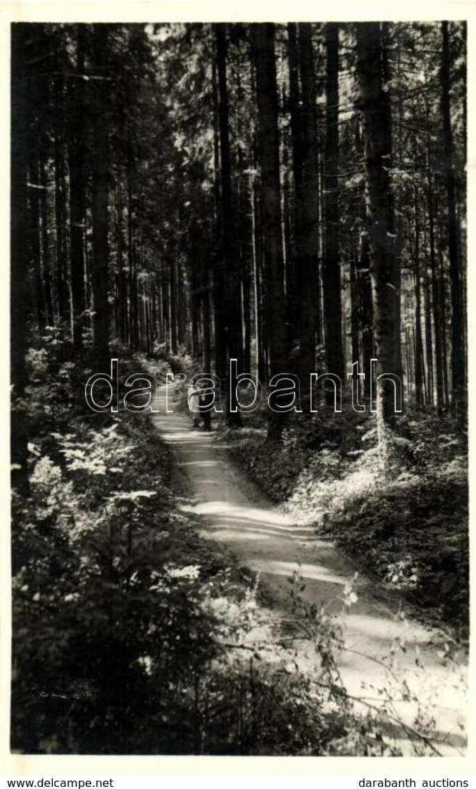 T1 1943 Borszék, Borsec; Árnyas Sétány / Forest, Esplanade - Unclassified