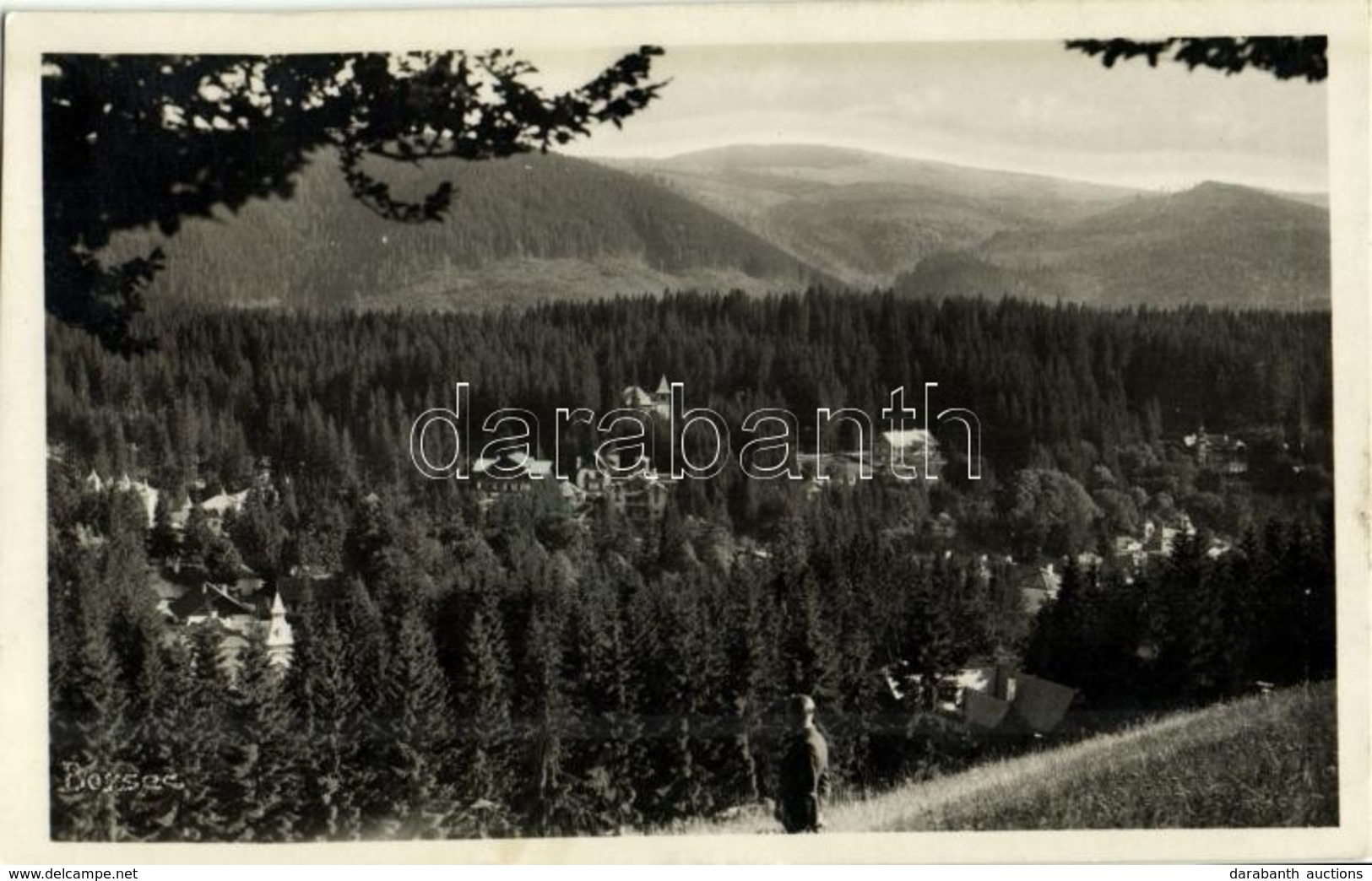 T1 1943 Borszék, Borsec; Látkép / General View - Unclassified