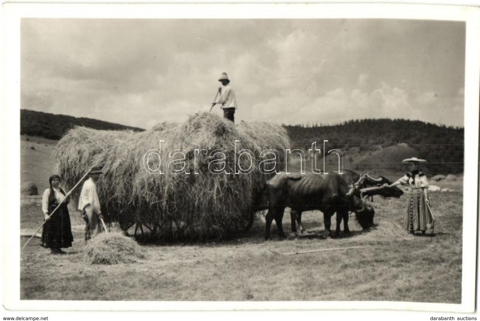 * T2 Kolozsvár, Cluj; Vista / Szénagyűjtés, ökrös Szekér, Folklór. Lepage Lajos Kiadása / Hay Gathering, Ox Cart, Folklo - Sin Clasificación