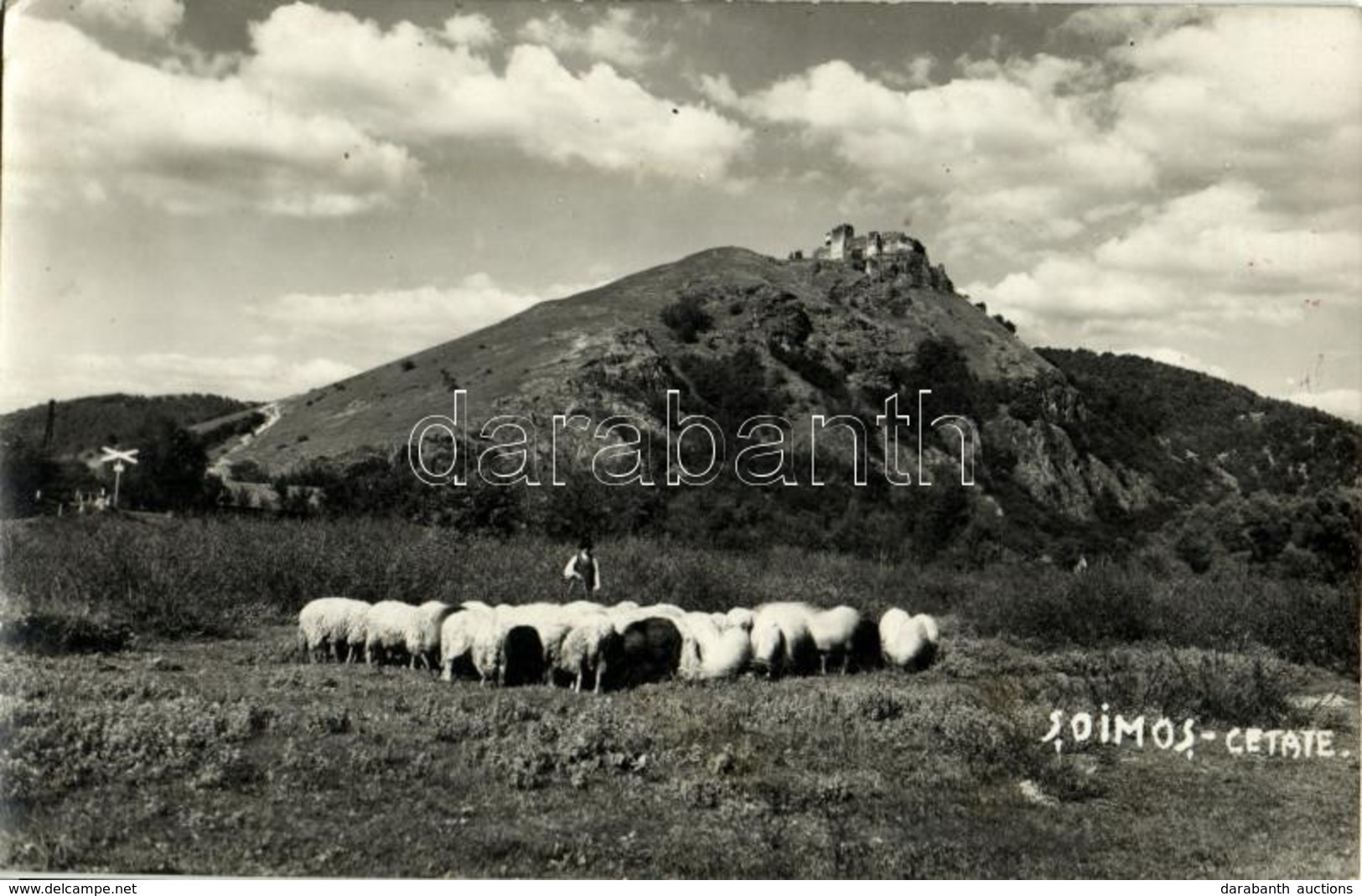 * T2 Lippa, Lipova; Cetatea Soimos / Solymosi Vár, Legelő Juhnyáj / Castle, Grazing Sheep. Steinitzer Photo - Unclassified