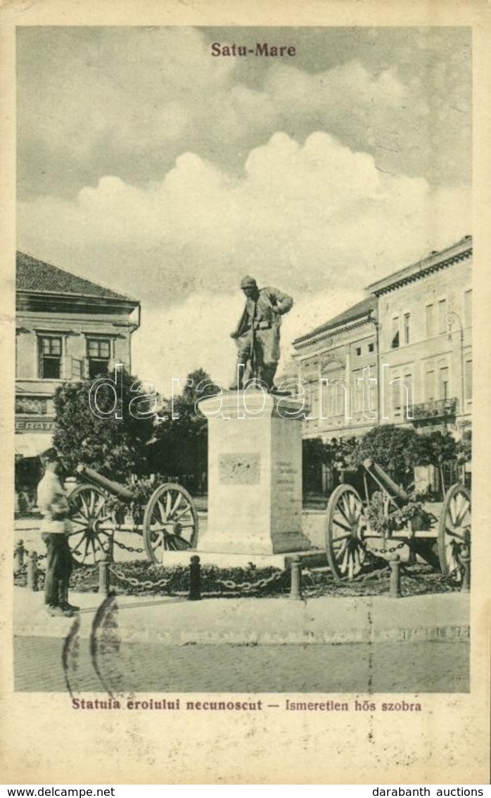 T2 1929 Szatmárnémeti, Satu Mare; Ismeretlen Hős Szobra ágyúkkal, üzlet / Statuia Eroiului Necunoscut / Heroes Monument  - Unclassified