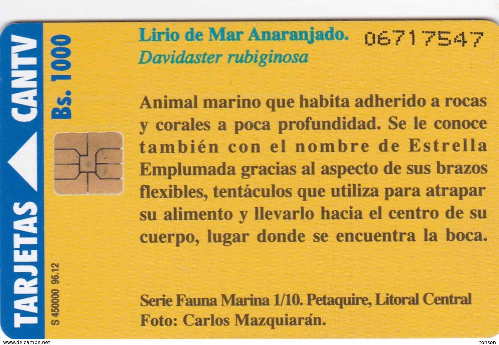 Venezuela, CAN2-0176, Marine Fauna, Lirio De Mar Anaranjado (1/10), 2 Scans. - Venezuela