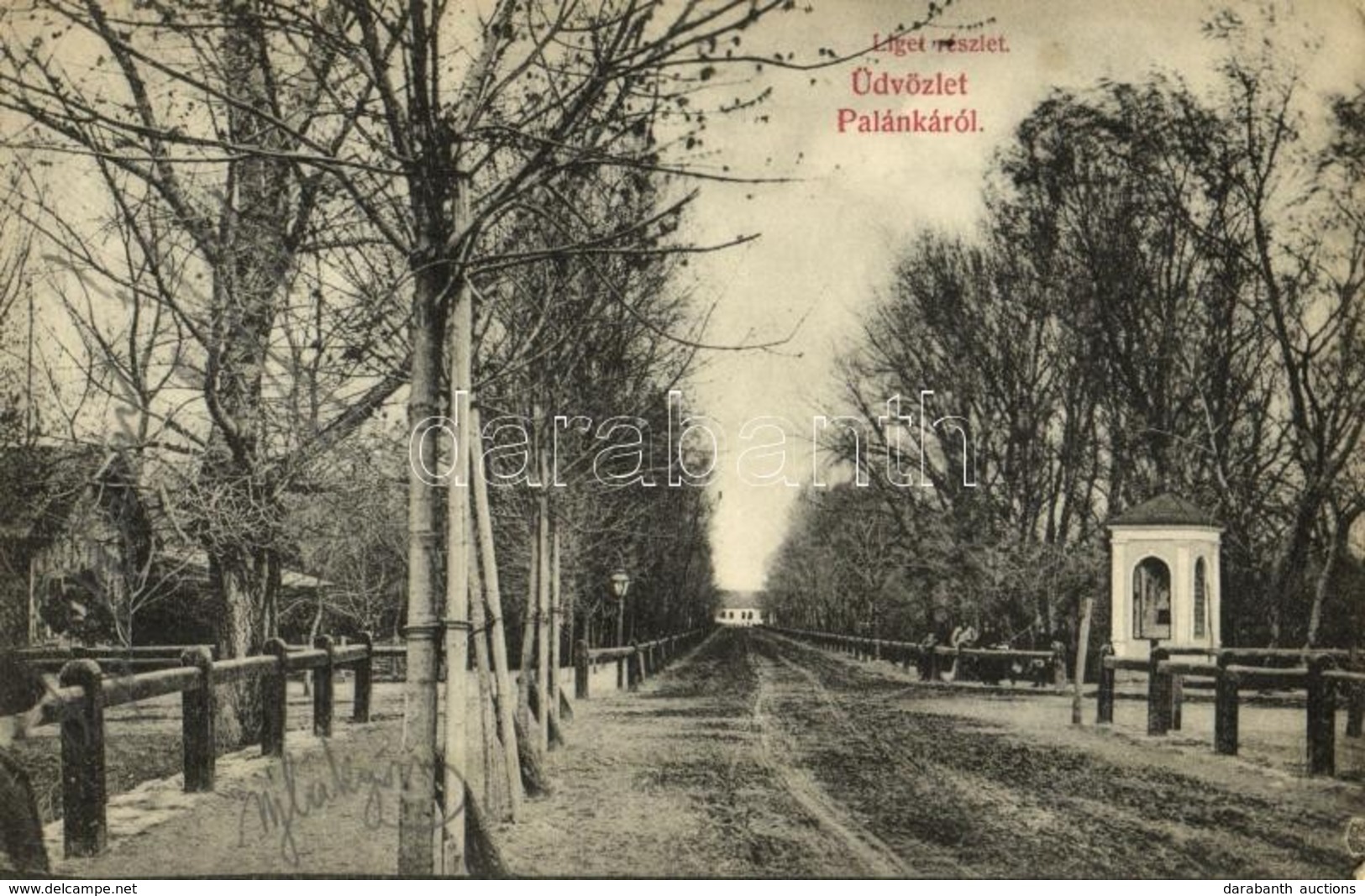 T2/T3 1907 Palánka, Bácska-Palánka, Backa Palanka; Ligeti út. Steimnitz Sándor Kiadása / Promenade In The Park - Ohne Zuordnung