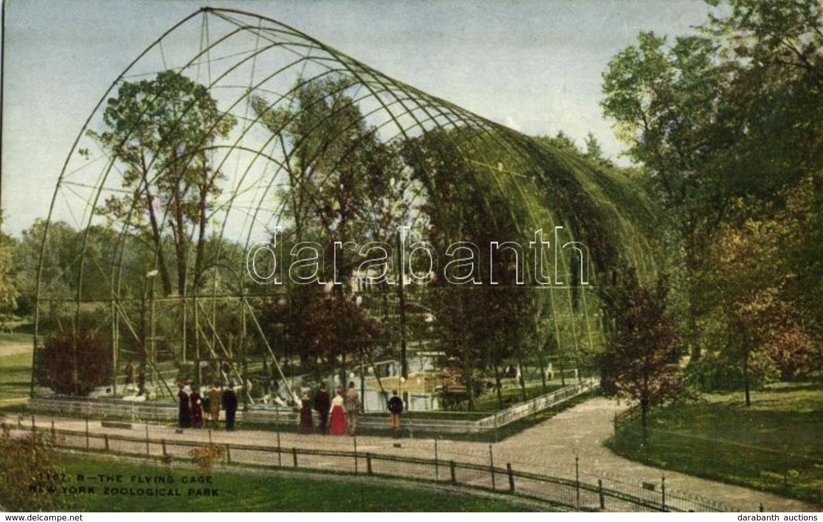 ** T2 New York City, New York Zoological Park, The Flying Cage - Sonstige & Ohne Zuordnung