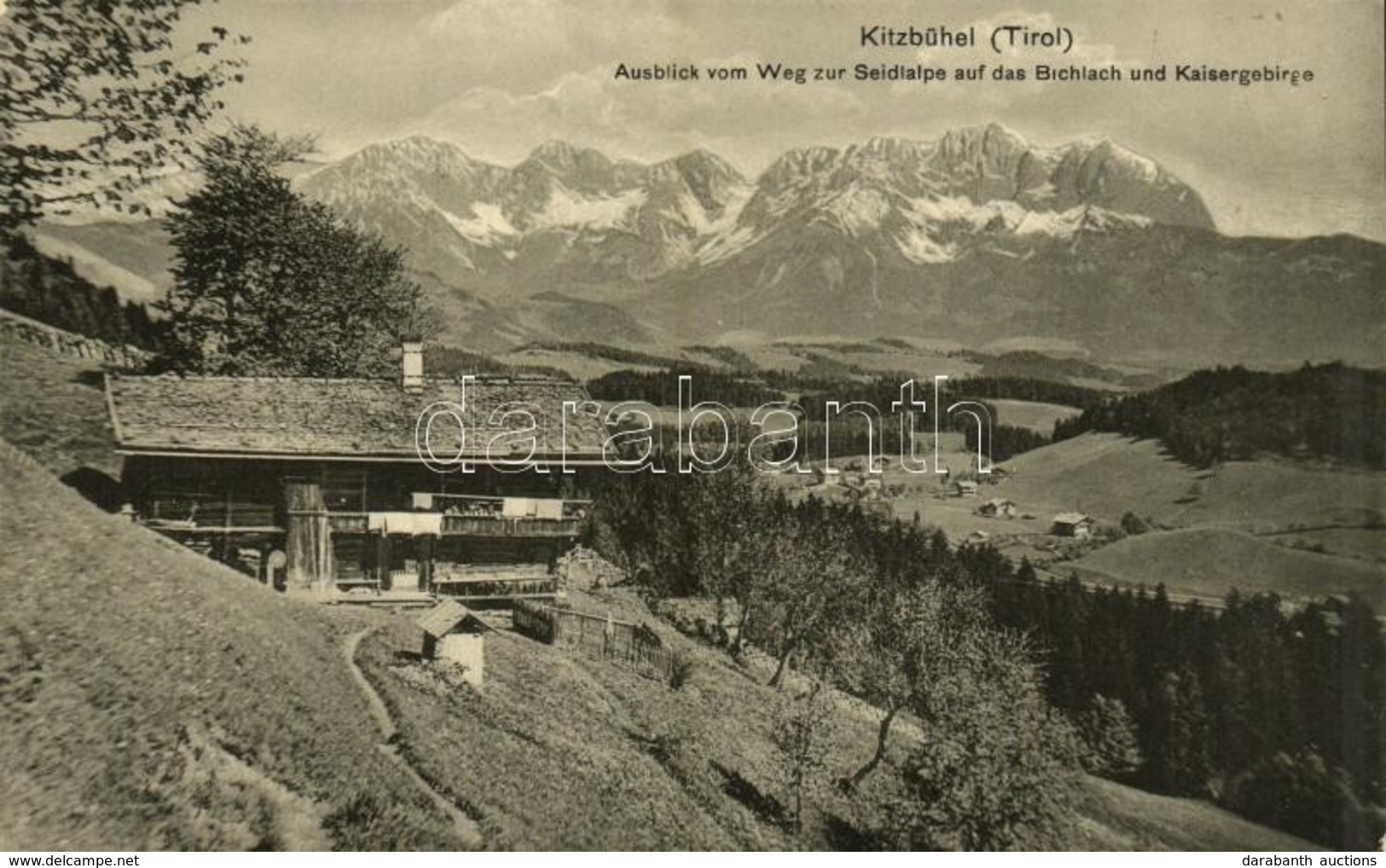 ** T2/T3 Kitzbühel (Tirol), Ausblick Vom Weg Zur Seidlalpe Auf Das Bichlach Und Kaisergebirge / Mountain Peaks - Other & Unclassified