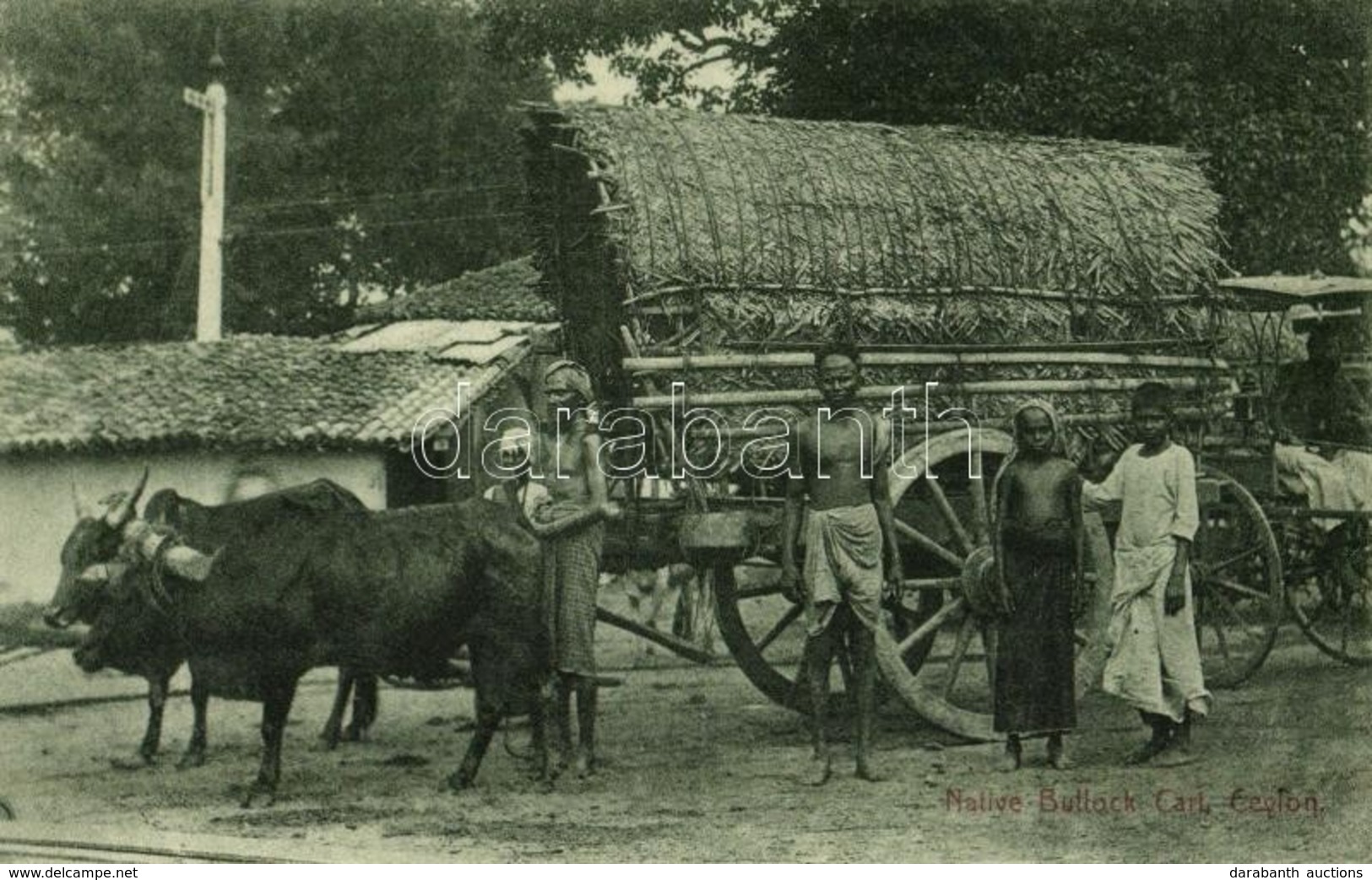 ** T2 Ceylon, Sri Lanka; Native Bullock Cart, Folklore - Otros & Sin Clasificación