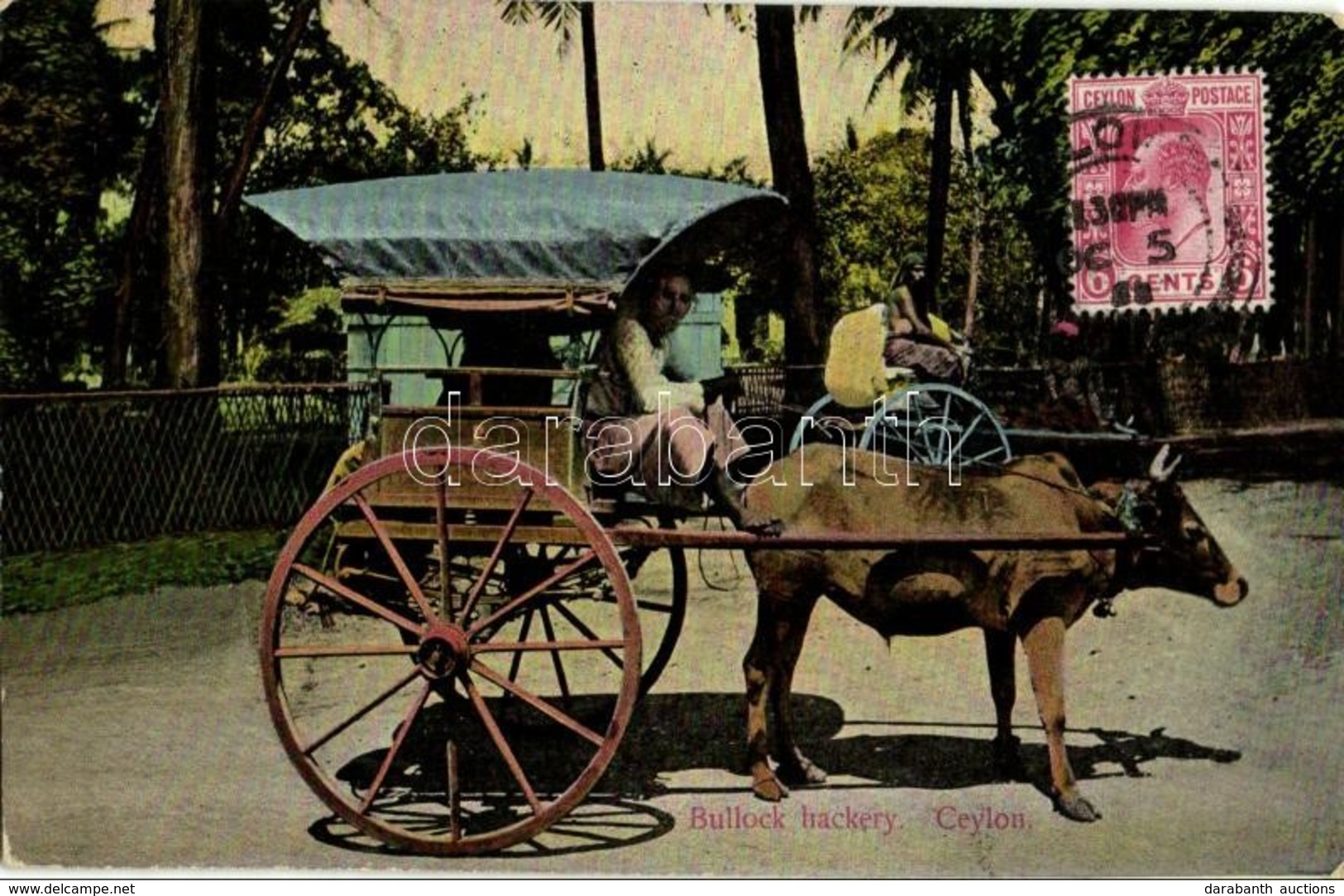 T2/T3 1911 Ceylon, Sri Lanka; Bullock Hackery, Folklore. TCV Card - Other & Unclassified