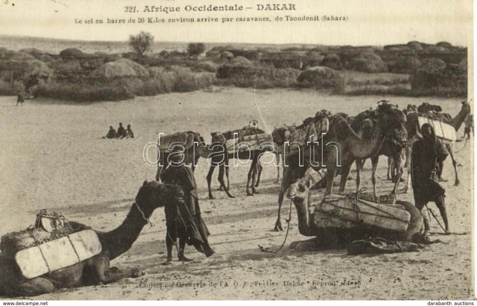 ** T2 Le Sel Barre De 30 Kilos Environ Arrive Par Caravanes De Taoudenit (Sahara) / Caravan, Camels, Folklore From Mali - Unclassified