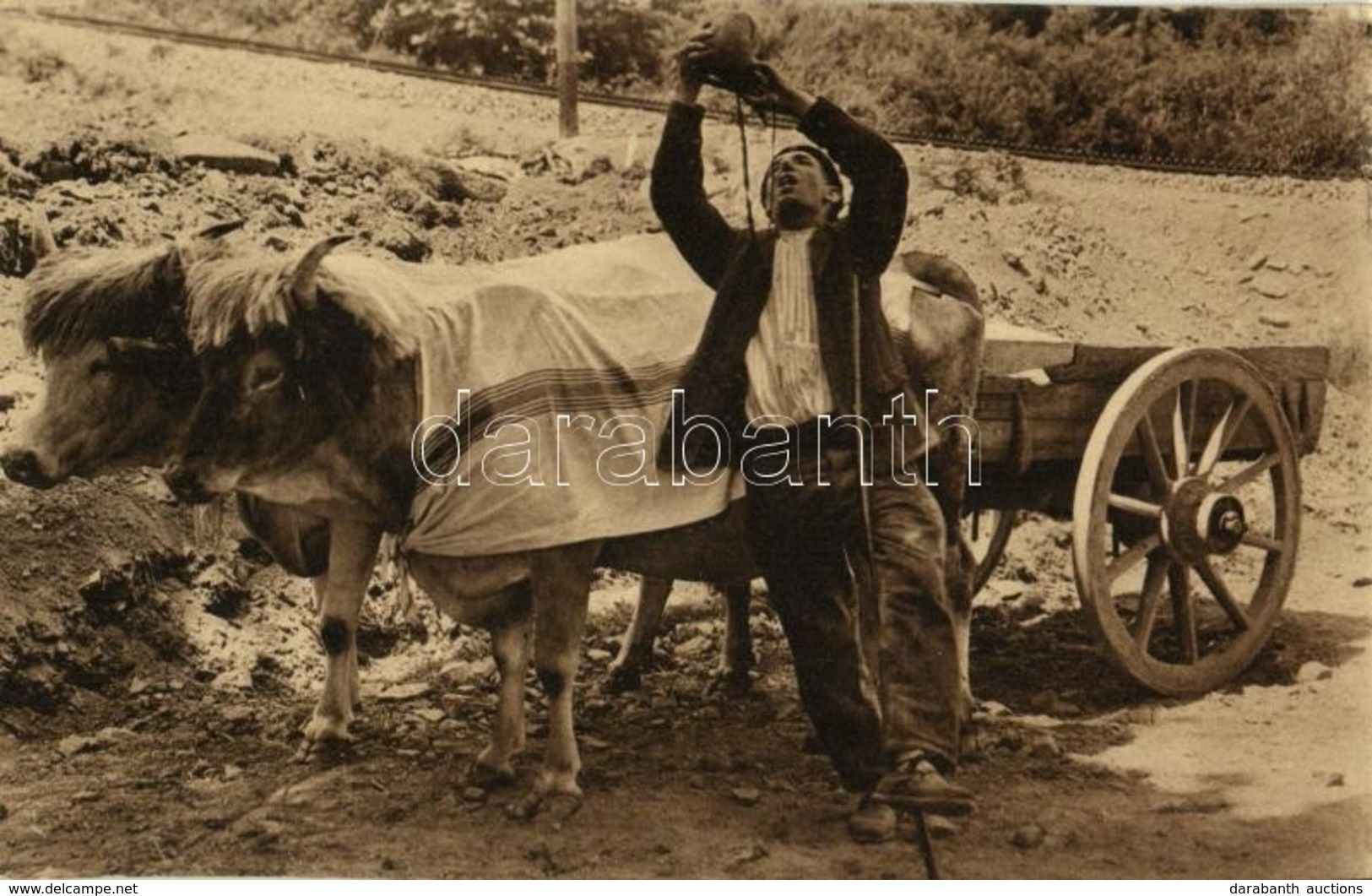 T1 1927 Pays Basque, Le Buveur / Basque Farmer With Ox Cart, Folklore - Sin Clasificación