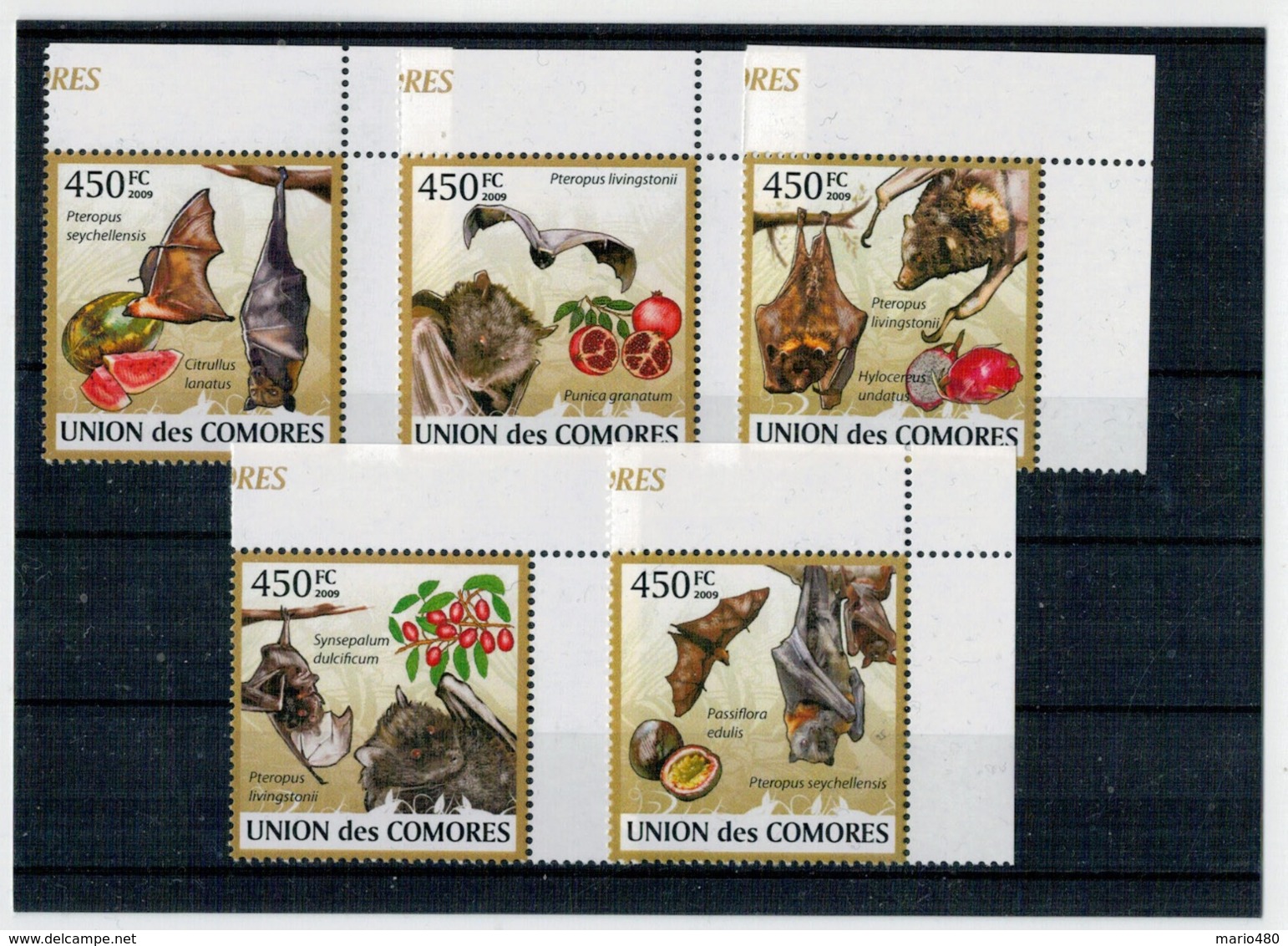 ISOLE   COMORE   2009    MAMMALS- BATS     5  STAMPS  MNH** - Isole Comore (1975-...)