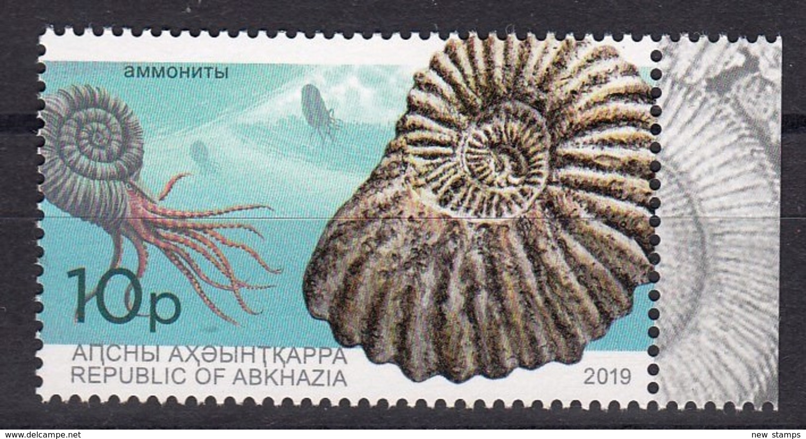 Abkhazia 2019 Marine Fauna Ammonites 1v MNH - Meereswelt