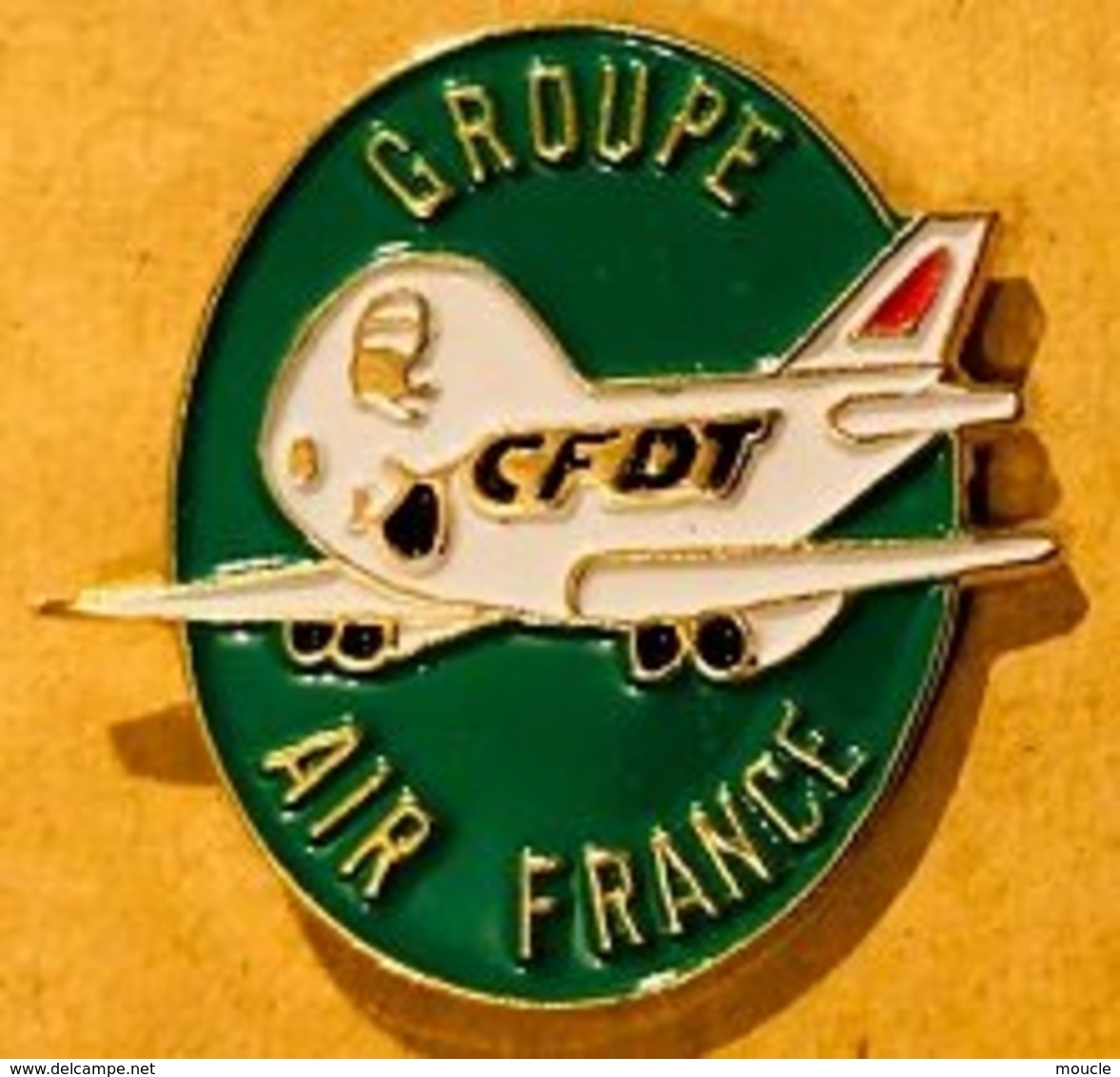 GROUPE AIR FRANCE - SYNDICAT CFDT - FRENCH PLANE - AVION - FLUGZEUG -                       (22) - Avions