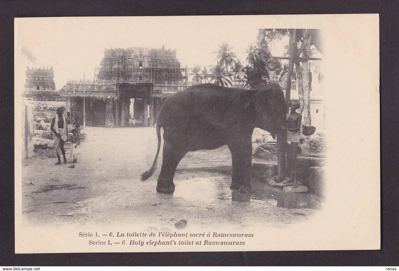 CPA éléphant Non Circulé Inde Rameswaram - Elephants