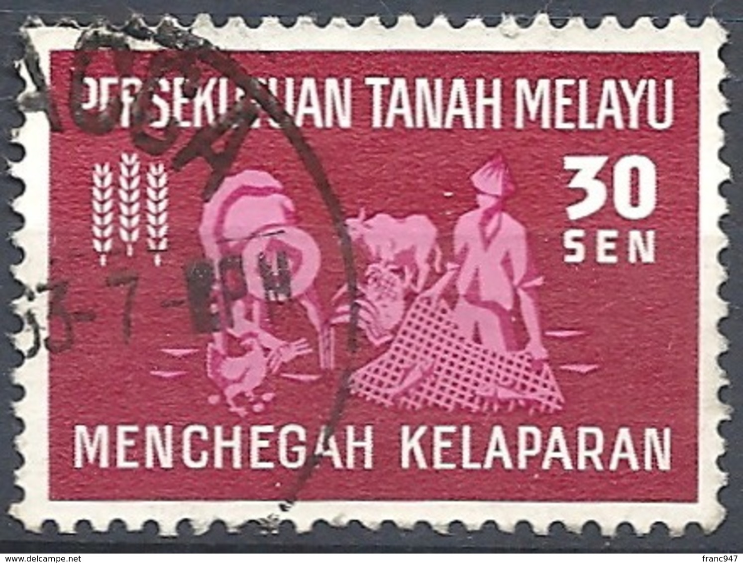 Malayan Fed., 1963 FAO, 30s Dk Car & Lilac Rose # S.G. 33 - Michel 33 - Scott 112  USED - Federation Of Malaya