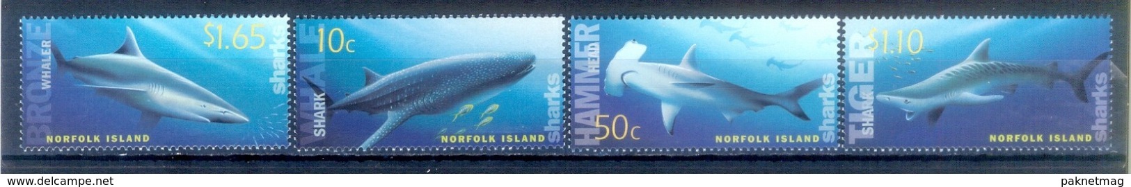 O85- Norfolk Island 2004 Sharks Fauna Marine Life. - Vita Acquatica