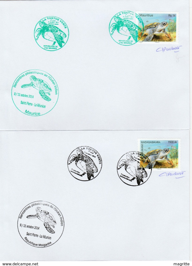 La Tortue Verte Emission Commune 2014 FDC 's Comores France Madagascar Maurice Seychelles TAAF Green Turtle - Joint Issues