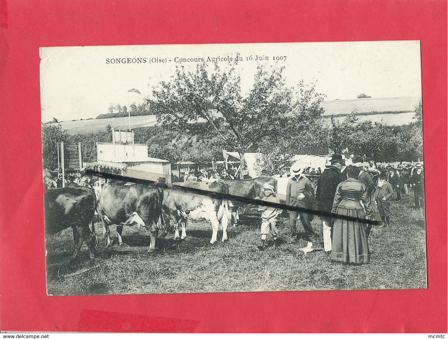 CPA Abîmée - Songeons  -(Oise) - Concours Agricole Du 16 Juin 1907  -( Vaches , Vache ) - Songeons