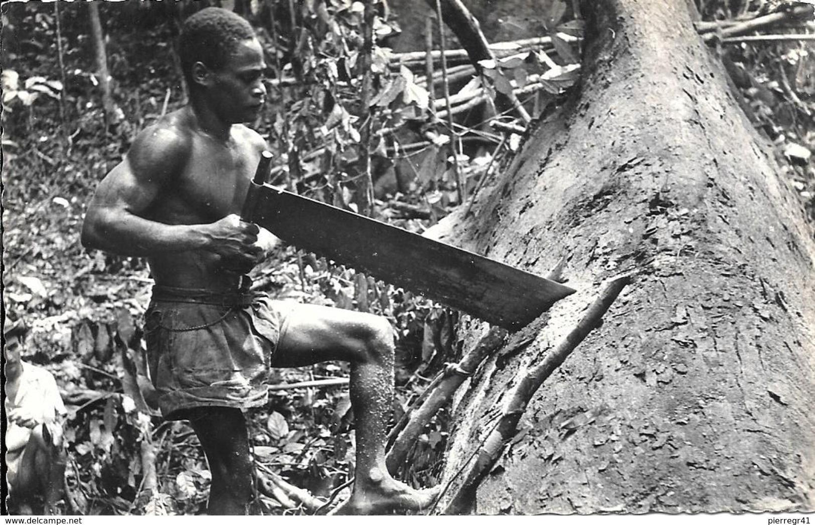 CPA-CONGO-1955-CONGO-TRONCONNAGE De L OKOUME-TBE - French Congo