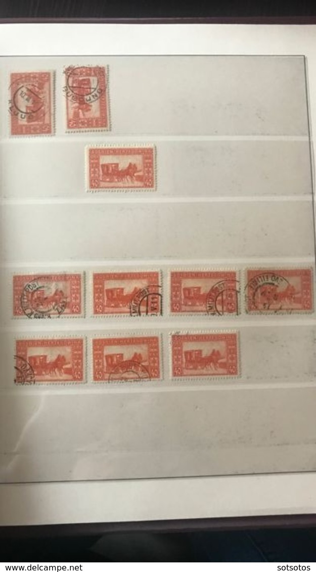 Bosnia and Herzegovina - special collection on types and perforations in 2 Lindner albums MH, MNH, Used