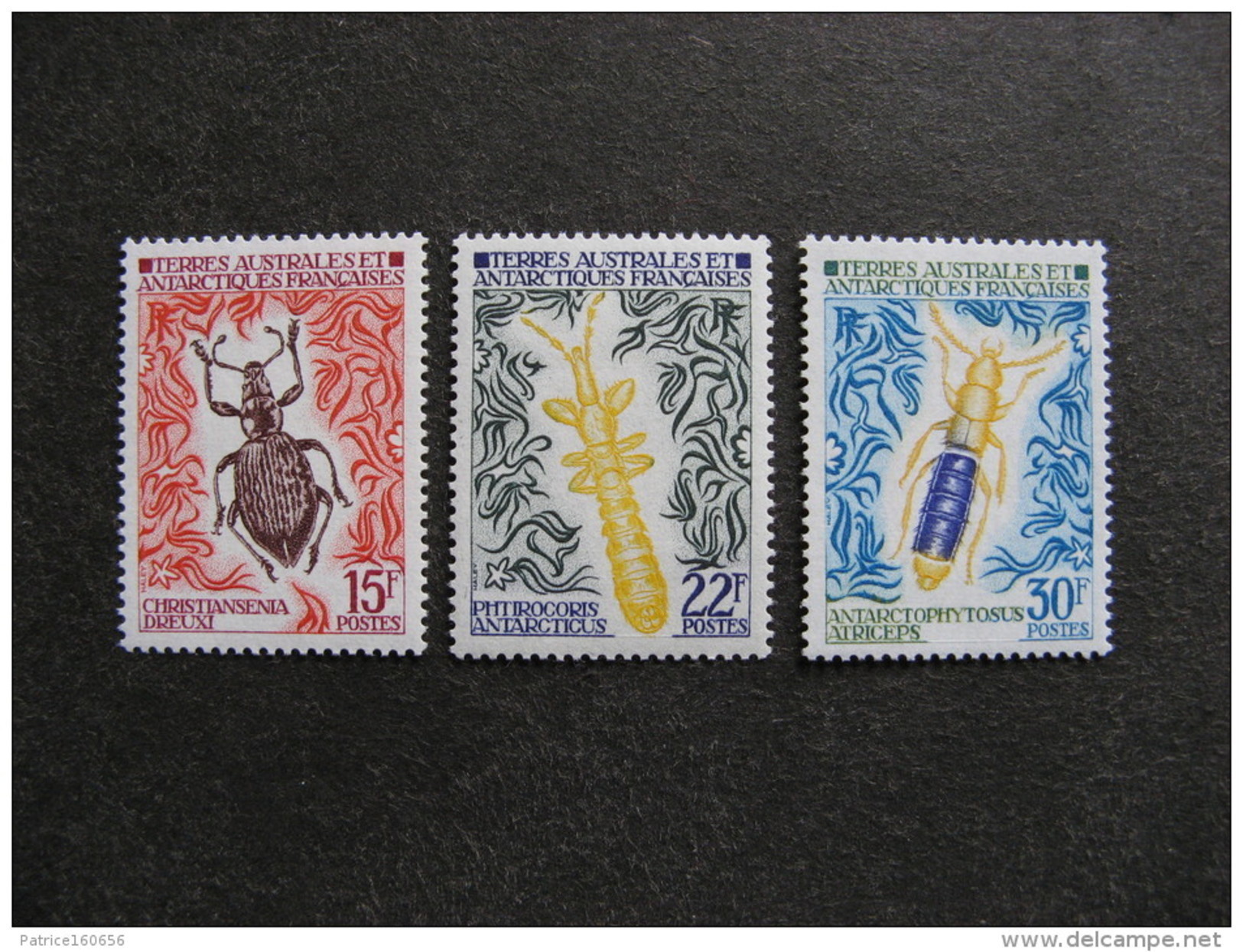 TAAF: TB Serie N° 49 Au N° 51, Neufs XX. - Unused Stamps