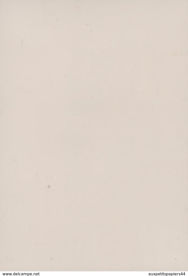 Photo Couleur Originale Alignement De Pin-Up Sur Transat à La Plage & Maillots De Bains Par Grosse Chaleur Vers 1960 - Pin-ups