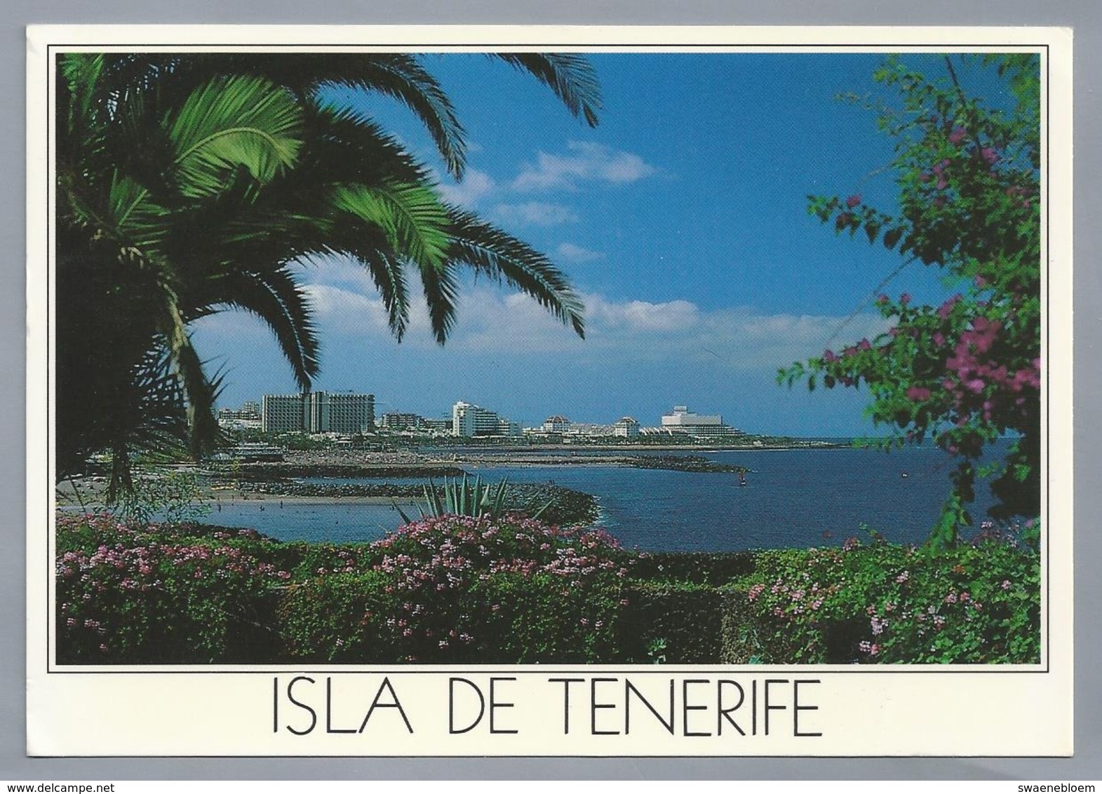 ES.- ISLA DE TENERIFE. Playa De Las Americas. - Tenerife