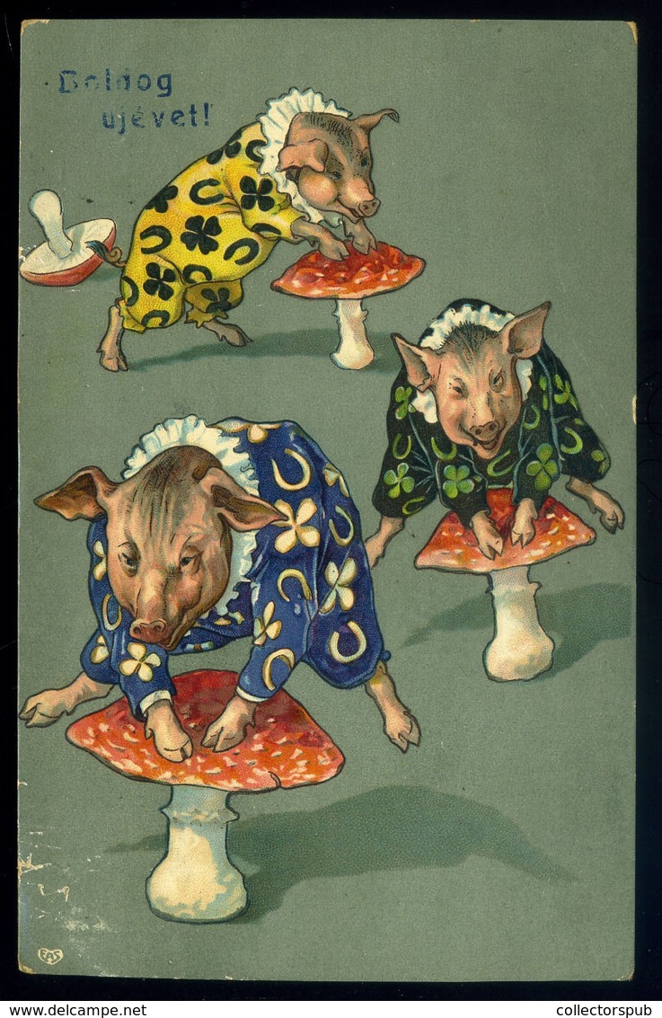 MALACOS üdvözlő Képeslap 1907.  /  PIG Greeting Vintage Pic. P.card - Schweine