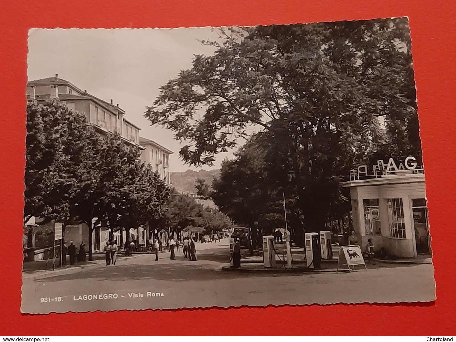 Cartolina Lagonegro - Viale Roma - 1954 - Potenza