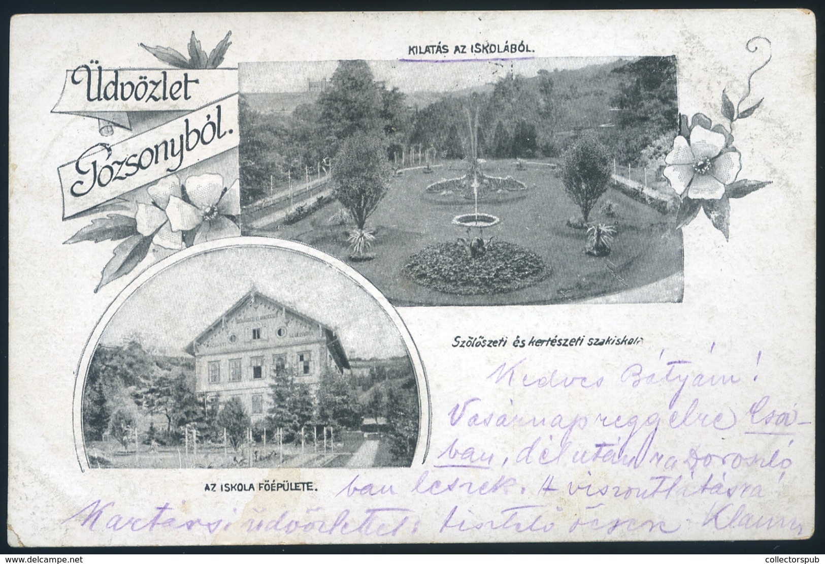 POZSONY 1900. Szőlészeti és Kertészeti Szakiskola, Régi Képeslap / Vintage Pic. P.card, Wine And Gardening School - Hungary