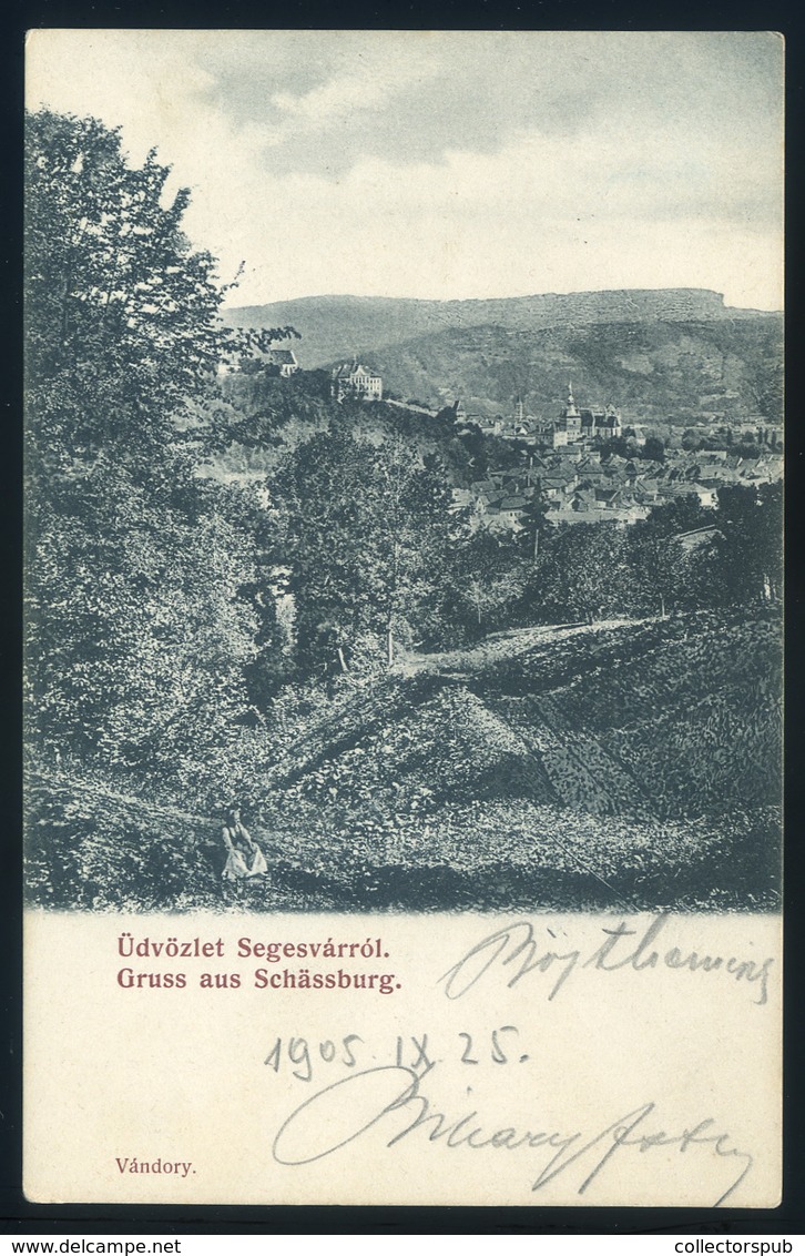 SEGESVÁR Régi Képeslap  /  Vintage Pic. P.card - Hungary