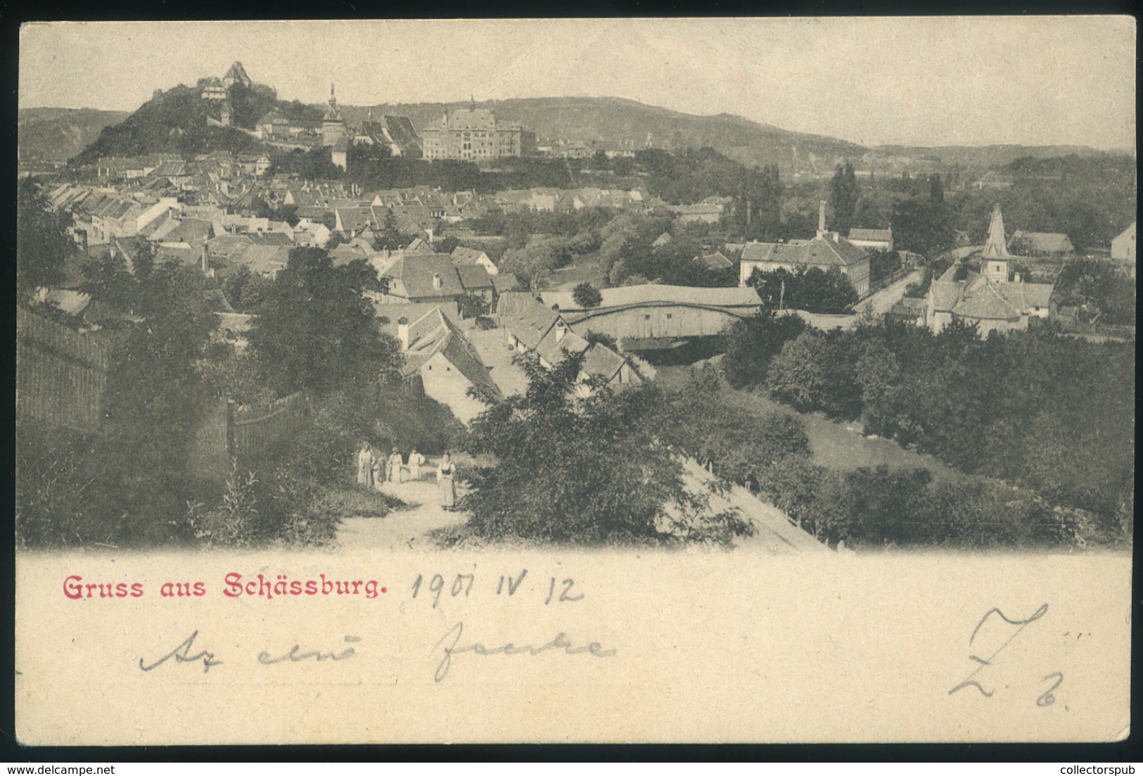 SEGESVÁR 1901. Régi Képeslap  /  Vintage Pic. P.card - Hungary