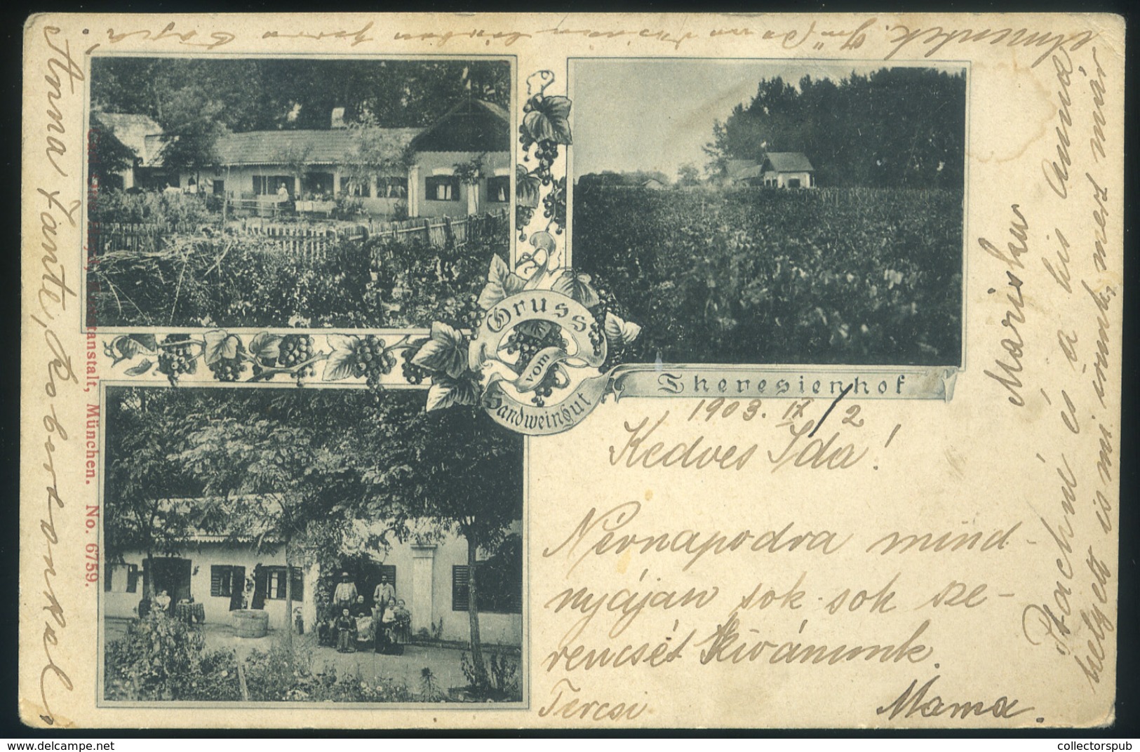 THERESIENHOF 1903. Régi Képeslap  /  Vintage Pic. P.card - Hungary