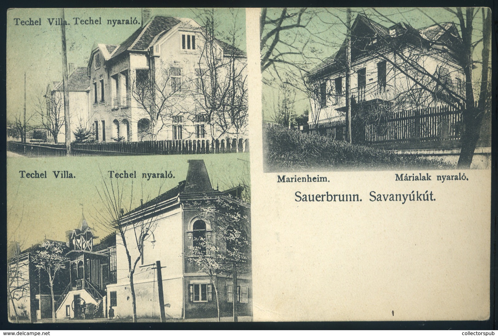 SAVANYÚKÚT 1917. Régi Képeslap  /  Vintage Pic. P.card - Hungary