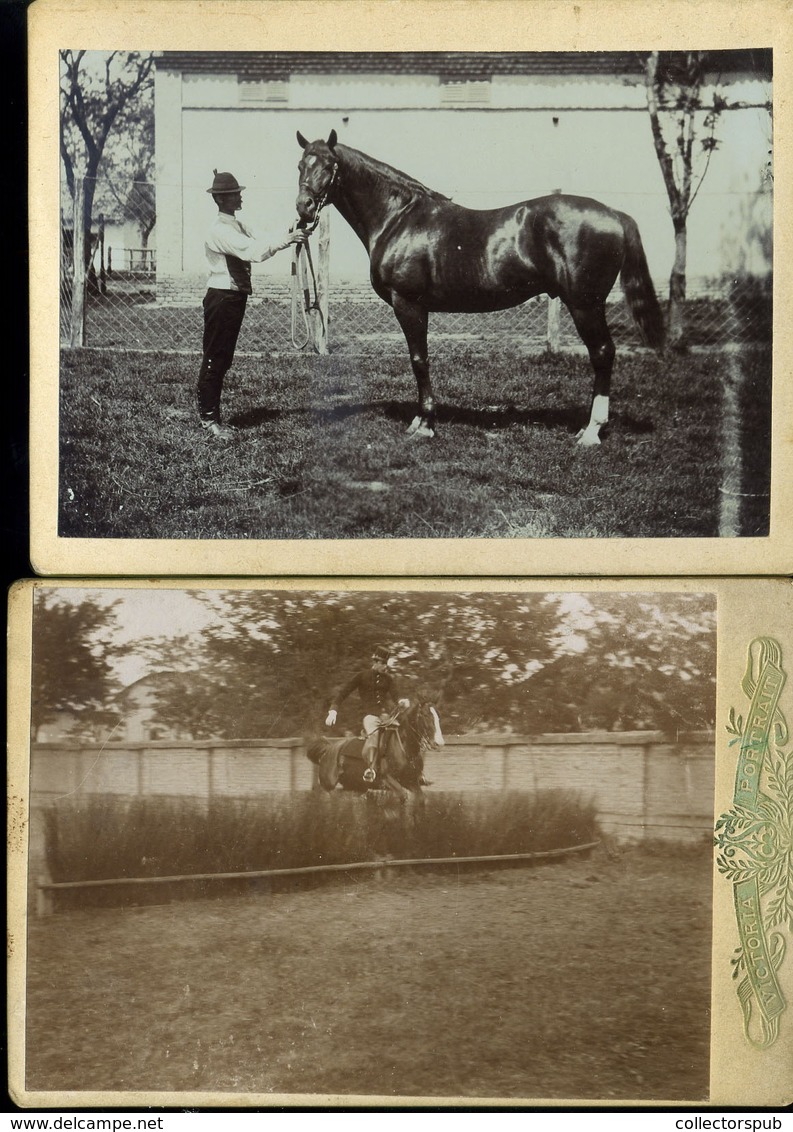LOVASOK, LOVAK 42 Db Fotós Képeslap, Jó Tétel!  /  HORSES, RIDERS 42 Photo Vintage Pic. P.cards, Good Bundle - Horses