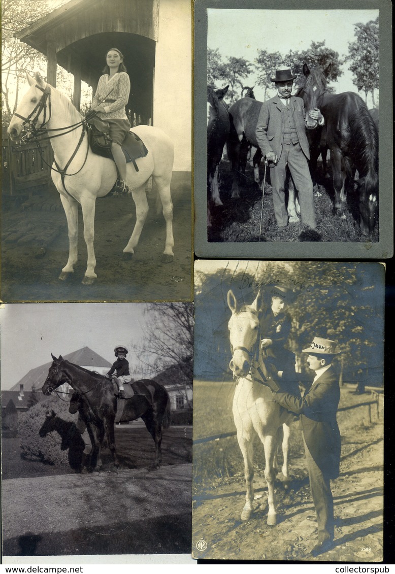 LOVASOK, LOVAK 42 Db Fotós Képeslap, Jó Tétel!  /  HORSES, RIDERS 42 Photo Vintage Pic. P.cards, Good Bundle - Horses