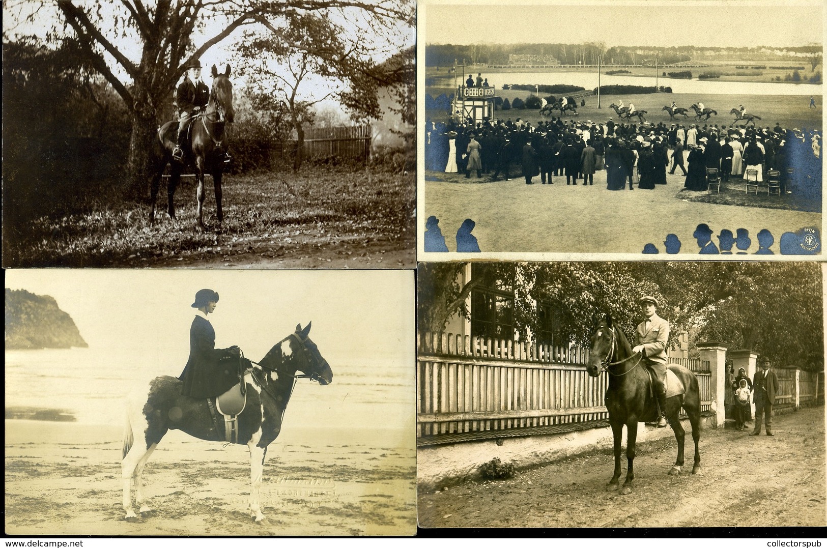 LOVASOK, LOVAK 42 Db Fotós Képeslap, Jó Tétel!  /  HORSES, RIDERS 42 Photo Vintage Pic. P.cards, Good Bundle - Horses