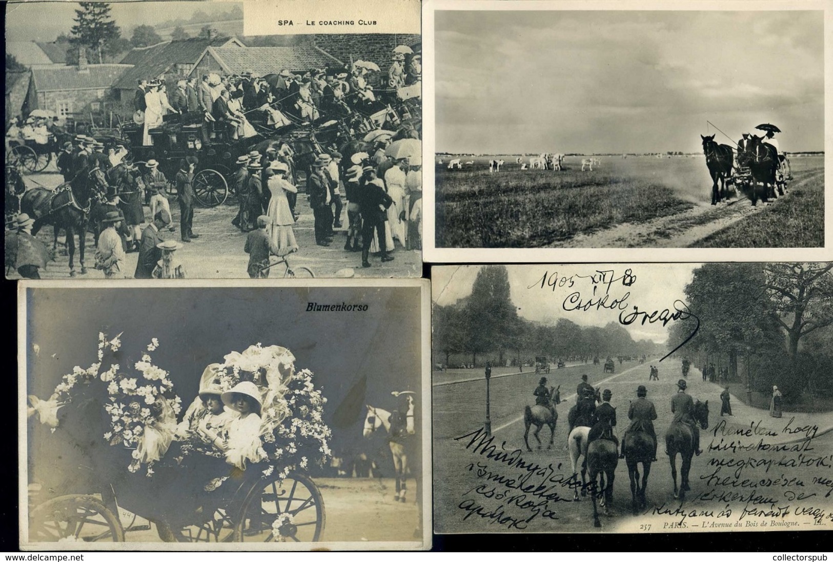 LOVASOK, LOVAK 61 Db Vegyes Képeslap, Jó Tétel!  /  HORSES, RIDERS 61 Various Vintage Pic. P.cards Good Bundle - Horses