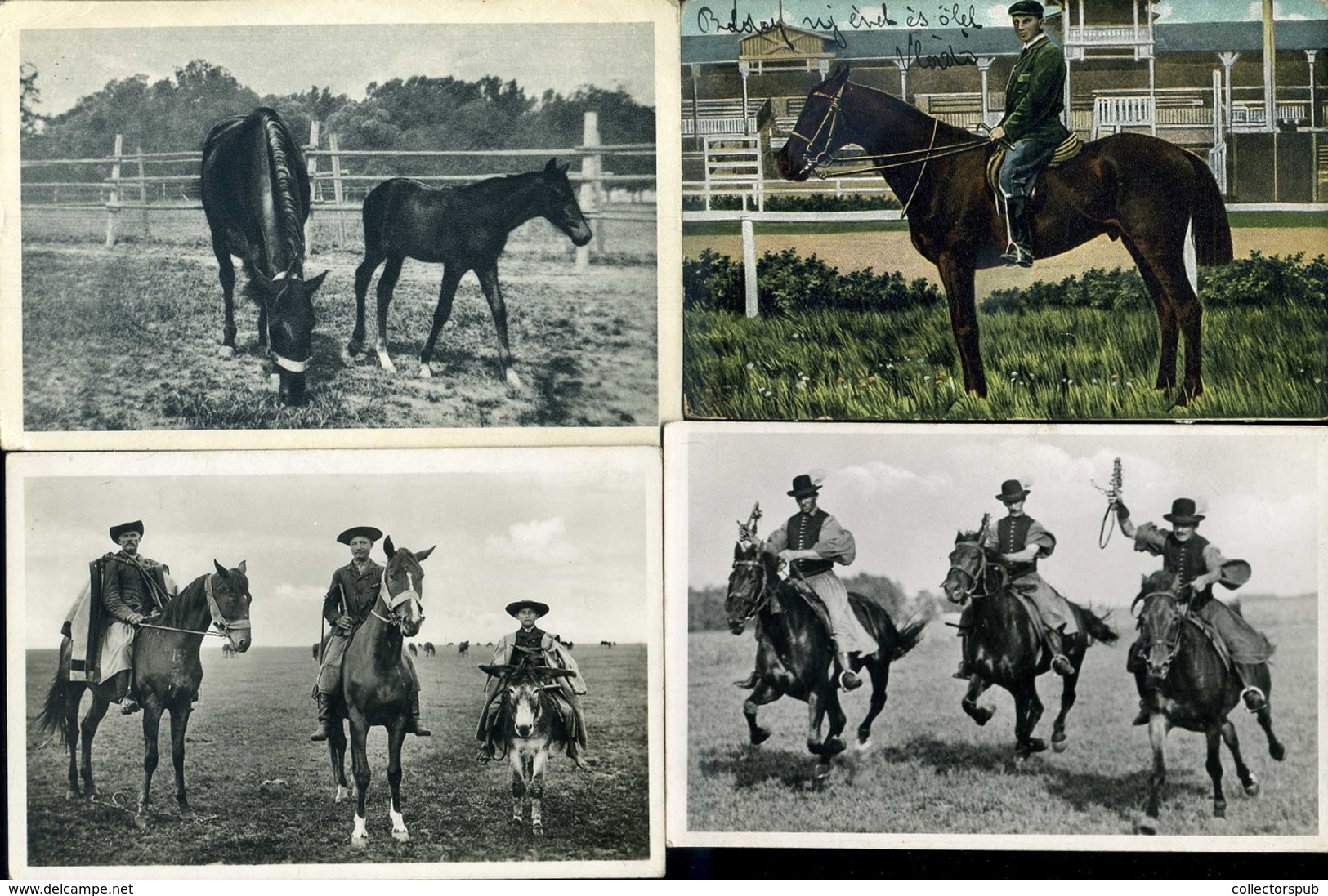 LOVASOK, LOVAK 61 db vegyes képeslap, jó tétel!  /  HORSES, RIDERS 61 various vintage pic. p.cards good bundle