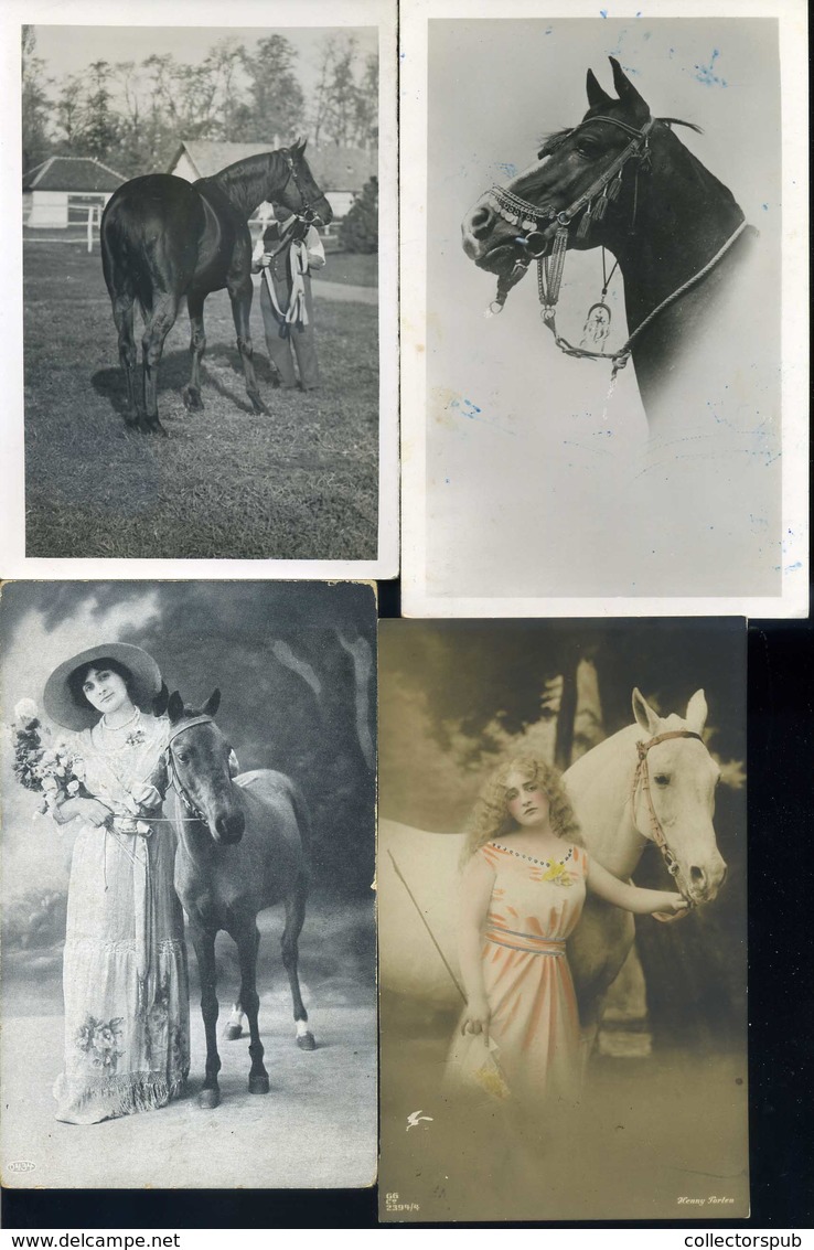 LOVASOK, LOVAK 61 db vegyes képeslap, jó tétel!  /  HORSES, RIDERS 61 various vintage pic. p.cards good bundle