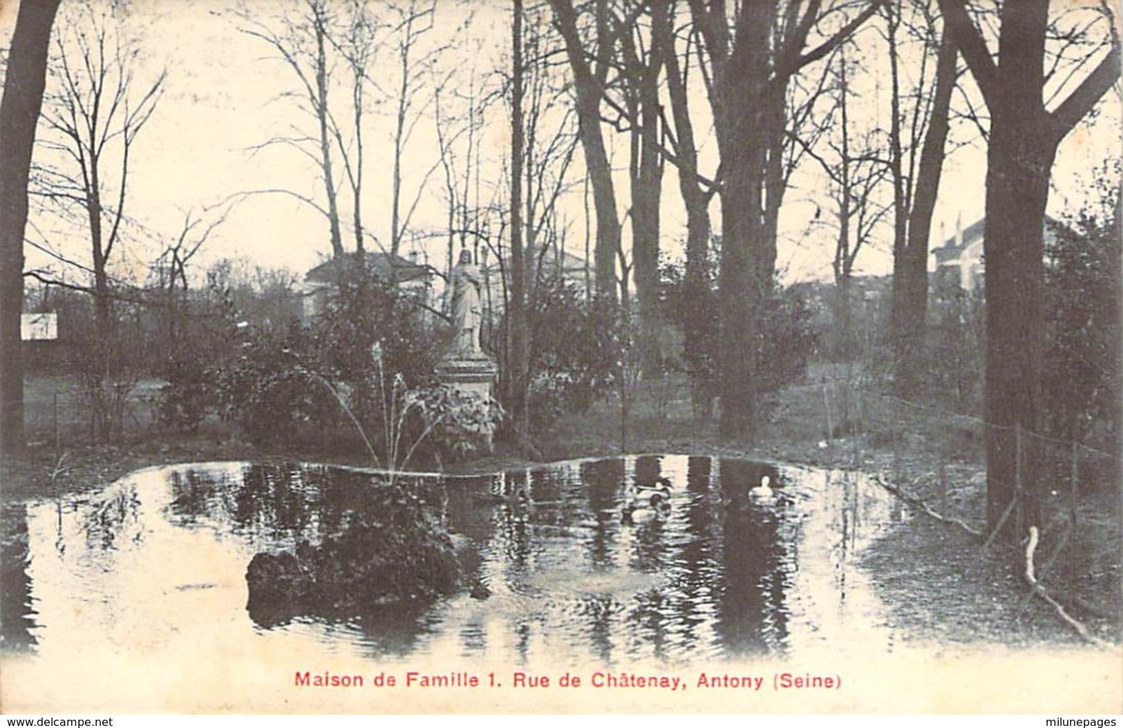 92 HAUTS De SEINE Bassin De La Maison De Famille Rue De Chatenay à ANTONY - Antony