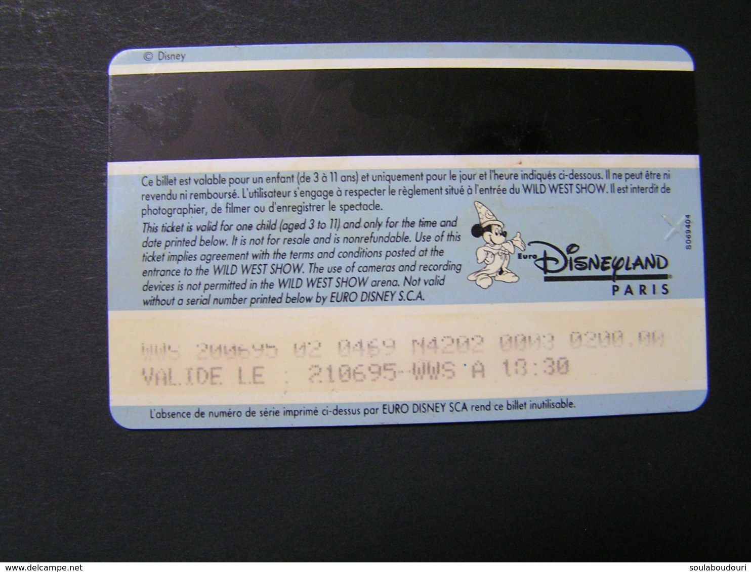 FRANCE Disney Passports.. - Disney Passports