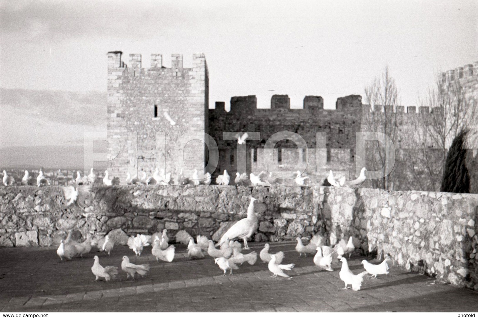 1957 PIGEONS POMBOS CASTELO CASTLE LISBON PORTUGAL AMATEUR 35mm ORIGINAL NEGATIVE Not PHOTO No FOTO - Sonstige & Ohne Zuordnung