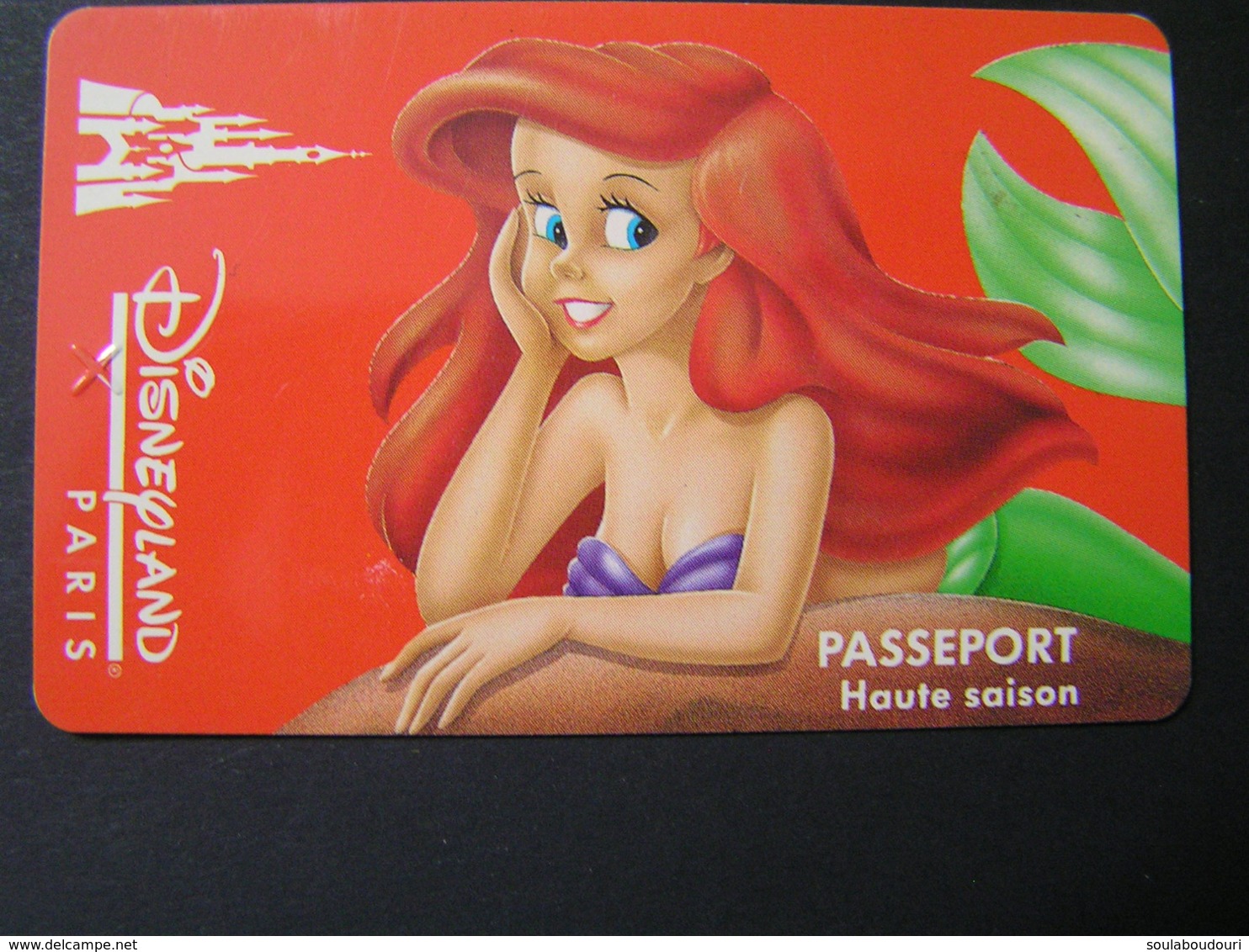 FRANCE Disney Passports.. - Disney Passports