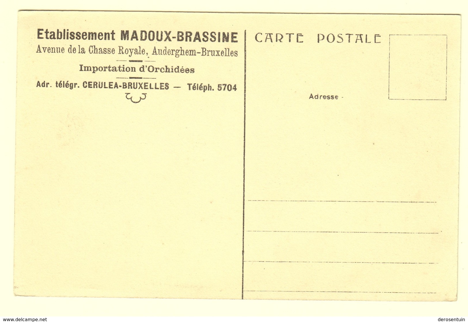 A0853	[Postkaart] Etablissement Madoux-Brassine ... Auderghem-Bruxelles / Serre De “Vandas Coeruleas” [Oudergem Cerulea] - Auderghem - Oudergem
