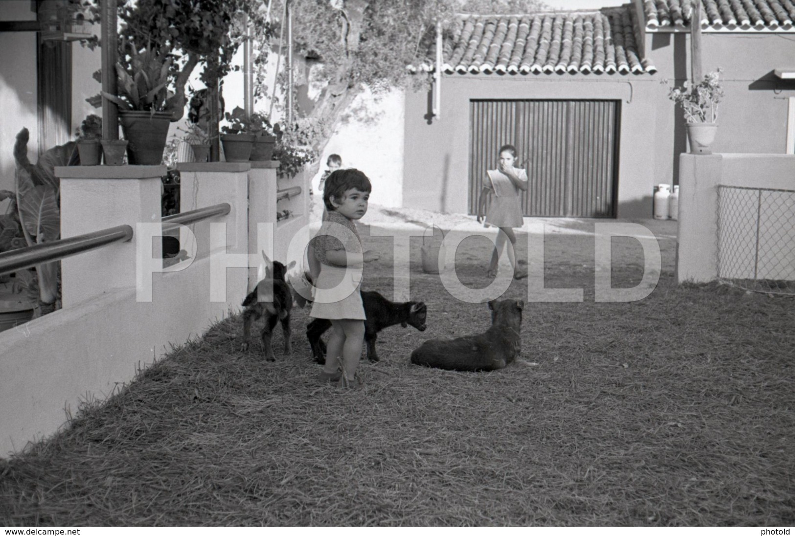 1966 JEUNE FEMME GIRL ENFANT CHILD PORTUGAL AMATEUR 35mm ORIGINAL NEGATIVE Not PHOTO No FOTO - Sonstige & Ohne Zuordnung