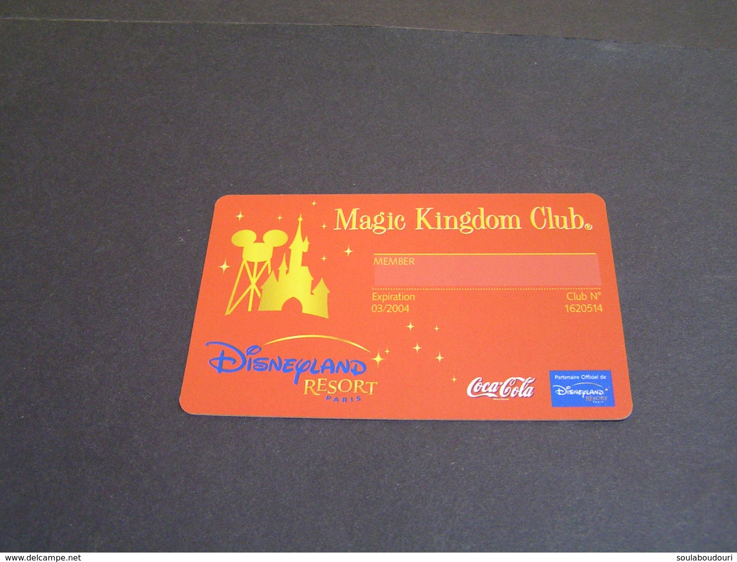 FRANCE Disney Passports.. - Disney Passports